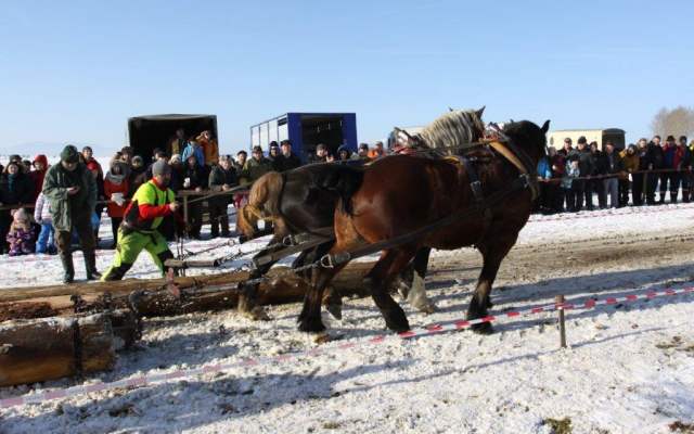 Šefšík Milan - ťažký ťah